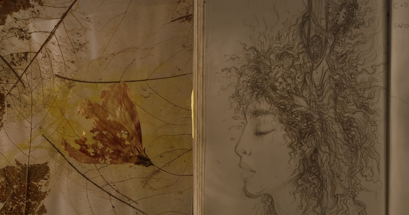 SAPPO © Rosana Urbes